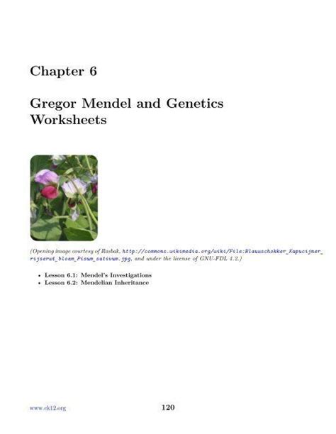 Read free chapter 11 introduction to genetics section review 2 answer key beloved endorser, considering you are hunting the chapter 11 introduction to genetics section review 2 answer key store to approach this day, this can be your. Mendelian Genetics Worksheet Answer Key Chapter 6 Gregor Mendel and Genetics Worksheets in 2020 ...