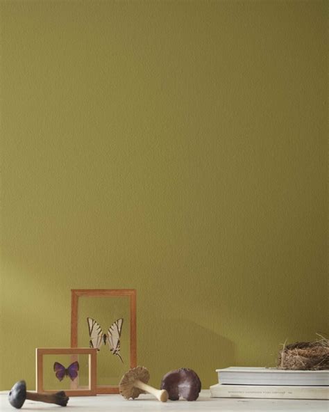 31 Best Olive Green Paint Colors For 2023