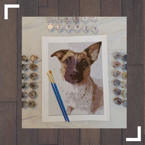 Custom Paint By Numbers Pet Portrait Kit Basic Etsy Diamond