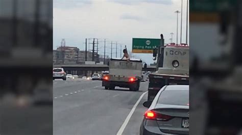 Naked Man Jumps On Truck Stabs It During Rush Hour Traffic After