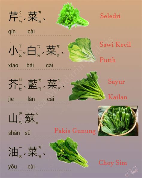 Berikut ini daftar nama bunga dalam bahasa inggris yang perlu kita ketahui: Kosakata Sayuran Dalam Bahasa Mandarin (蔬菜) - BELAJAR MANDARIN