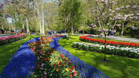 Bekijk meer ideeën over tulpen, tuin, holland. Keukenhof Holland - Vakantio