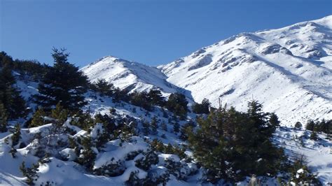 Το όρος ζήρεια (κυλλήνη) βρίσκεται στην νοτιοανατολική πλευρά της κορινθίας και είναι ένα από τα ελάχιστα ελληνικά βουνά που έχει τόσες κορυφές πάνω από 2.000 μέτρα. Ζήρεια, Τρίκαλα Κορινθίας 2020 - Péloponnèse Mont Ziria ...