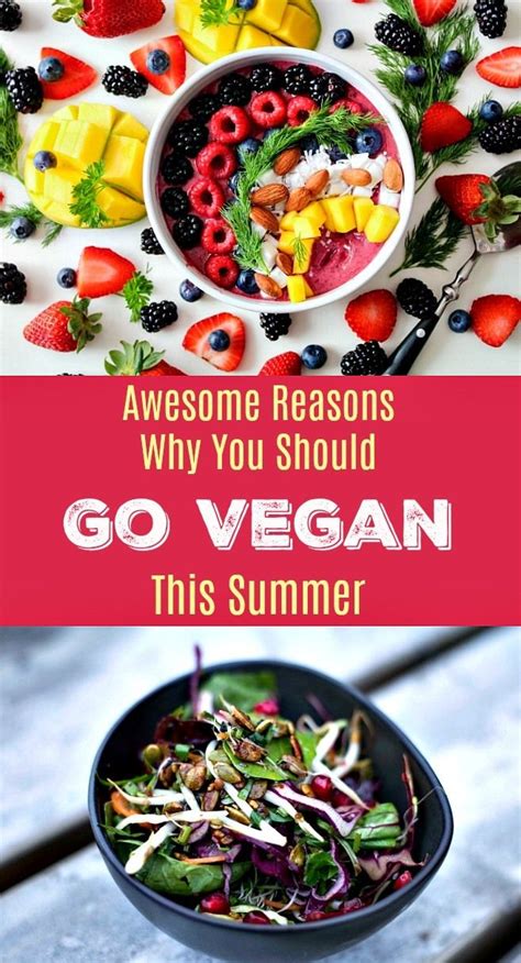 Reasons Why You Should Go Vegan This Summer Going Vegan Easy