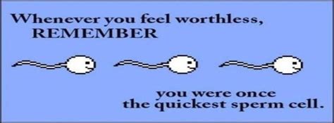 Funny Sperm Quotes Quotesgram