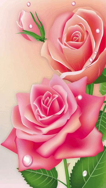Rose Flower  Roses Flowers Animated  Free Download