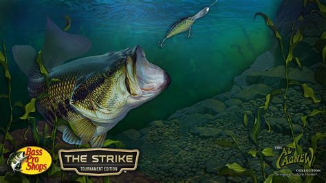 Free Largemouth Bass Wallpapers Wallpaper Cave