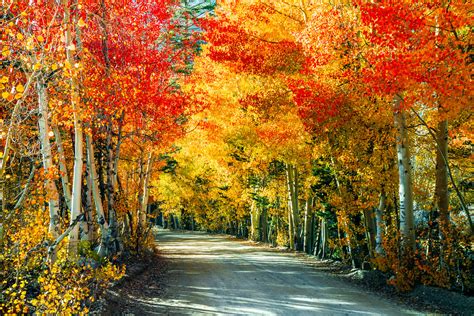 Sony A7rii Bishop California Fine Art Autumn Landscapes D Flickr