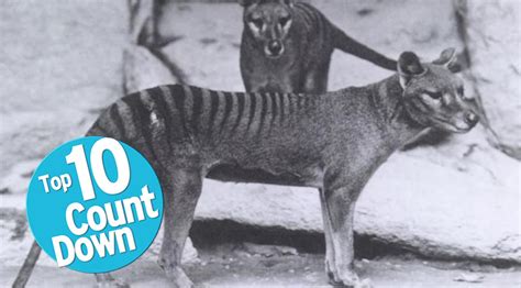 Top 10 Extinct Animals Youtube