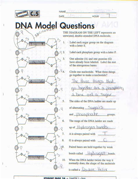 Atomic structure 4 answers on: Atomic Structure Review Worksheet Answer Key — db-excel.com
