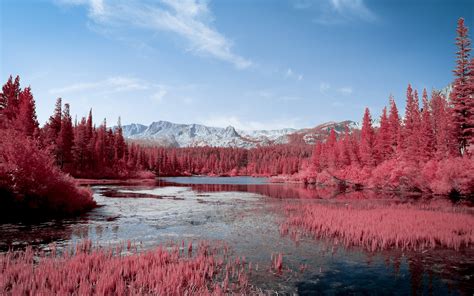 3840x2400 Autumn Red Pink Trees Lake 5k 4k Hd 4k Wallpapers Images