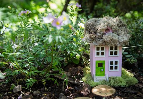 Best Fairy Garden Plants And Miniature Plants For Fairy Gardens