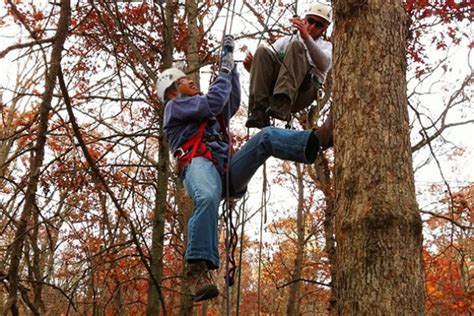 Tree Climbing Safety How Tree Climbing Works Howstuffworks