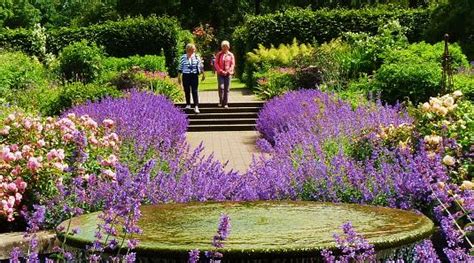 Wisley Gardens Rhs And Hotels And Places To Stay Great British Gardens