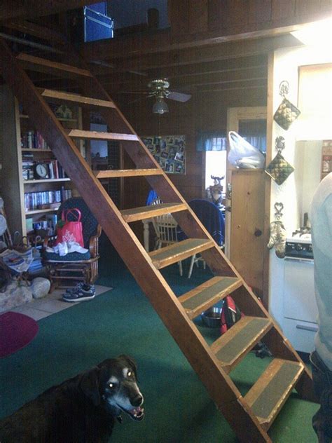 2020 attic ladder or stairs installation homeadvisor. Pin on attic.