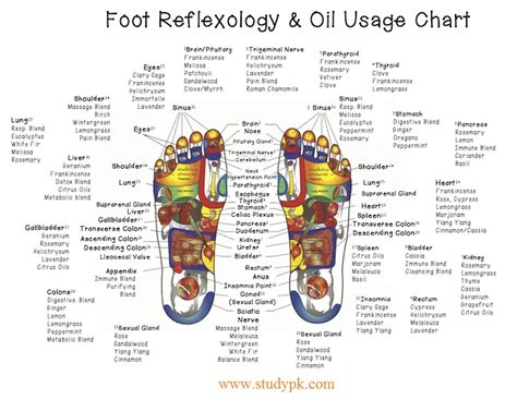 Foot Reflexology Chart And Oil Use Nclex Quiz