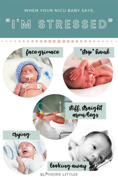 Learn How Your Nicu Baby Communicates The Nicu Parents Guide