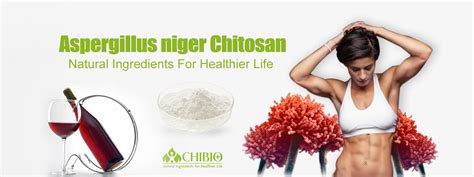 Chibio Biotech Manufacturer Of Vegetal Chitosan Fungal Chitosan Natural Ingredients