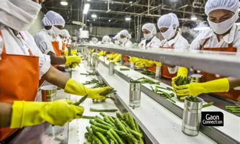 Centre Approves Rs 109 Billion To Boost Food Processing Industry