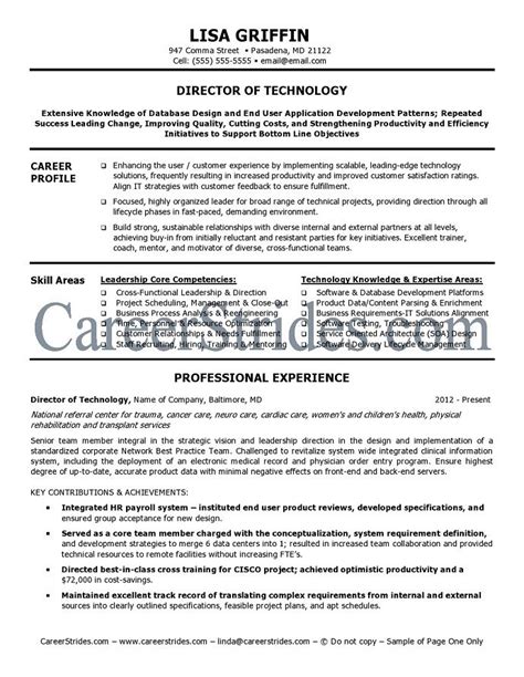 49 It Director Resume Example For Your Needs