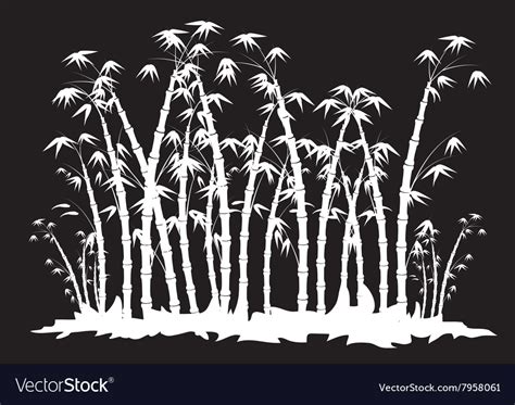 Silhouettes Of Bamboo Forest Royalty Free Vector Image