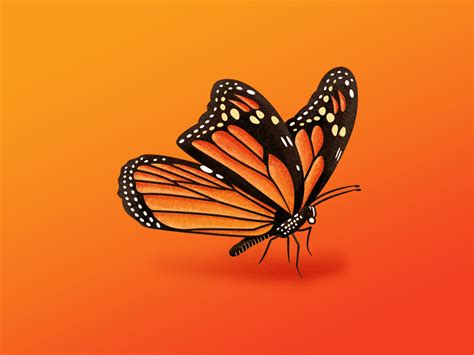 Monarch Butterfly Texture Wip By Jordan Blahnik On Dribbble