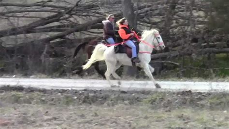 Racking Horse Workout Youtube