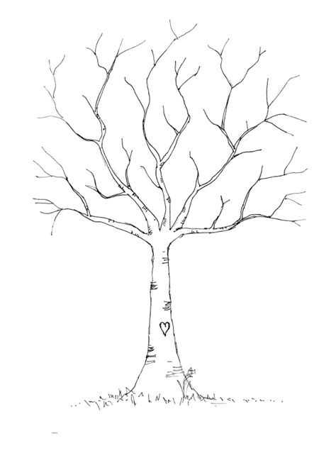 Free Leafless Tree Outline Printable Download Free Leafless Tree