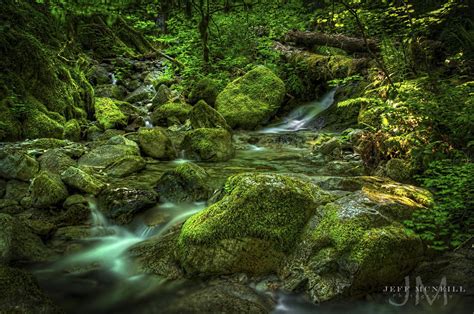 Emerald Forest Forest Scenery Forest Landscape Photography