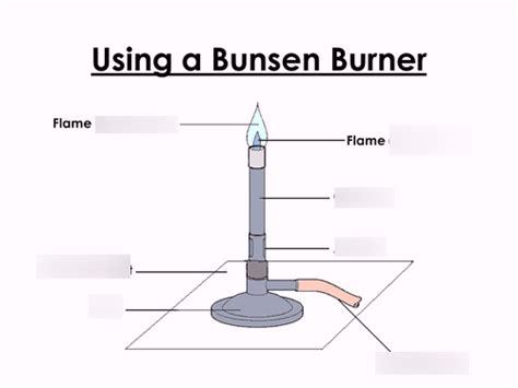 Labelled Diagram Of A Bunsen Burner Diagram Quizlet