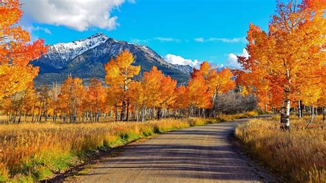 Road Between Yellow Orange Autumn Trees And Landscape Of