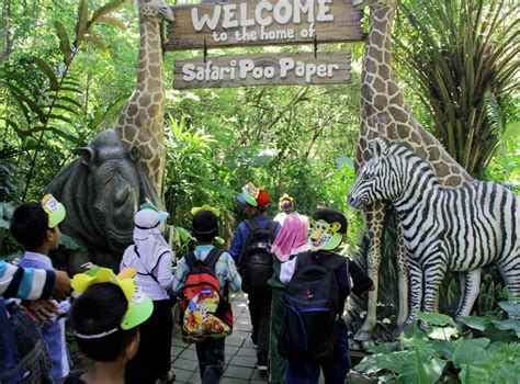 Bali Safari Park Book Now And Save 30