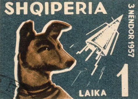Laika The Soviet Space Dog Sent On A One Way Trip Into Orbit 1957