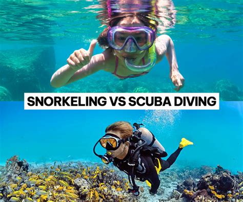 Snorkeling Vs Scuba Diving Which Is Right For Me