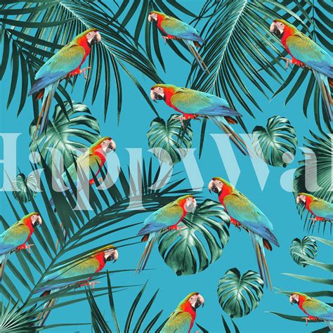 Buy Parrots Tropical Jungle 1 Wallpaper Free Shipping