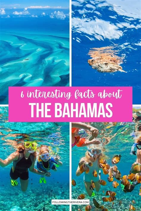 Interesting Facts About The Bahamas 6 Useful Things To Know Bahamas