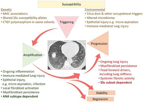 Pathogenesis Of Systemic Sclerosis Associated Interstitial Lung Disease