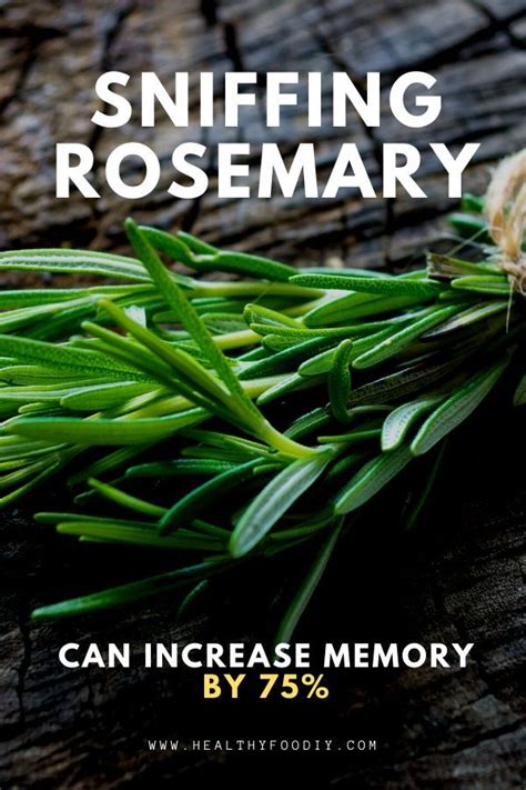Sniffing Rosemary Can Increase Memory By In Health