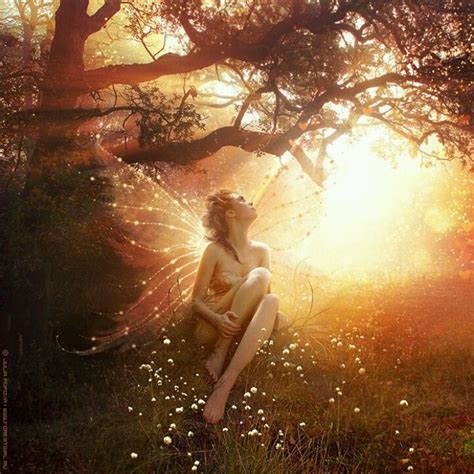 first spring sun fairy magic fairy angel fairy dust fairy land fairy tales magic forest