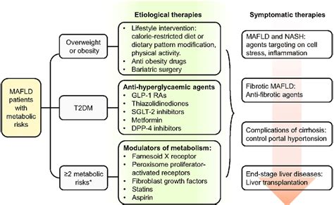 management of cardiometabolic risk factors in patients with mafld download scientific