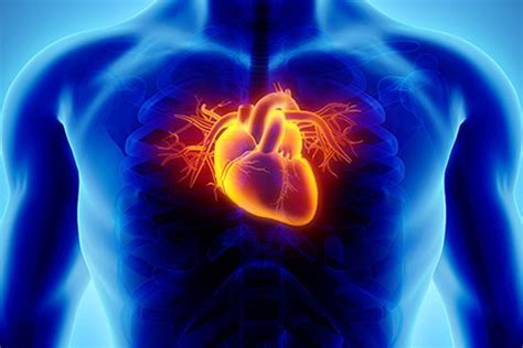 Congenital Heart Disease Causes Symptoms Diagnosis And Treatment
