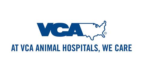 Dog insurance covers a lot of important essentials your dog will need to stay healthy and happy, but this means that if you try to claim these exclusions, your dog insurance policy won't cover them. VCA Animal Hospitals Offers Free Boarding for Pets ...