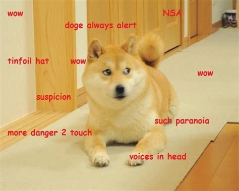 20 Best Doge Images On Pinterest Ha Ha Funny Stuff And