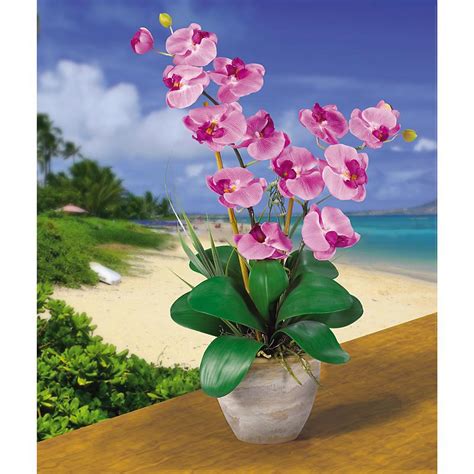 Nearly Natural Double Stem Phalaenopsis Silk Orchids Mauve