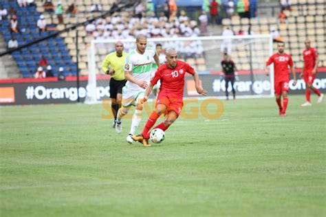 Programmes tv à suivre en direct sur canal algerie. Vidéo - CAN 2017: résumé du match Algérie vs Tunisie (1-2) Regardez - Senego.com