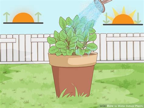 How To Water Indoor Plants 13 Steps With Pictures Wikihow