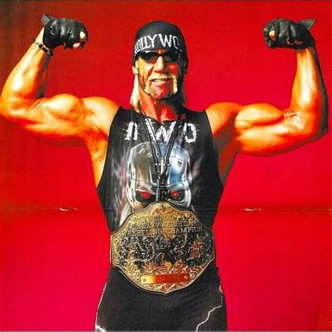 Hulk Hogan 2021 Nwo Mural Officially Licensed Wwe Removable Wall