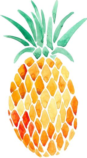 transparent pineapple | Tumblr | Pineapple sticker, Watercolor pineapple, Pineapple