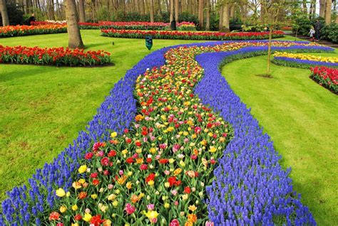 Le Parc De Keukenhof Aux Pays Bas Et Ses Tulipes