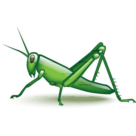 Cartoon Grasshopper